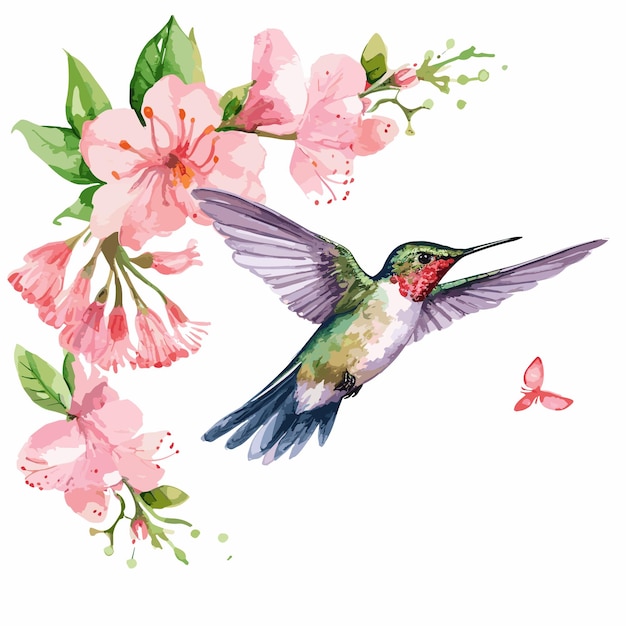 Vector watercolor hummingbird and flower