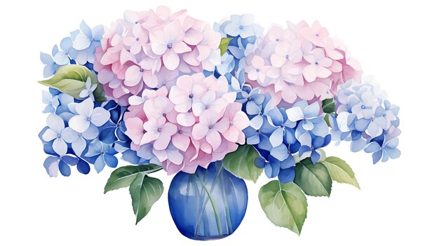 Vector watercolor hydrangea flowers with vase isolated on white background