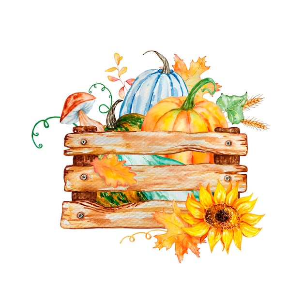 Vector watercolor illustration of autumn pumpkins in a wooden box composition