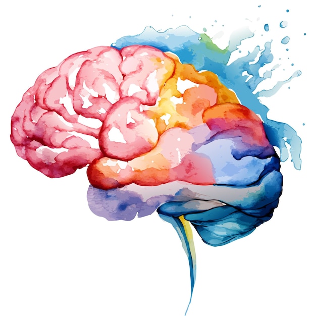 Watercolor Illustration of a Brain Vector