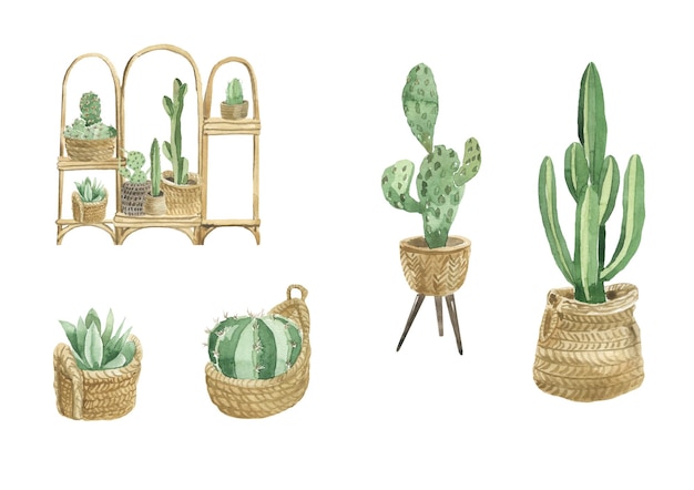 Watercolor illustration of cacti in wicker baskets