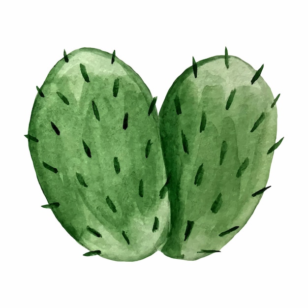 Vettore illustrazione acquerello di un cactus cucina messicana tradizionale cibo latino