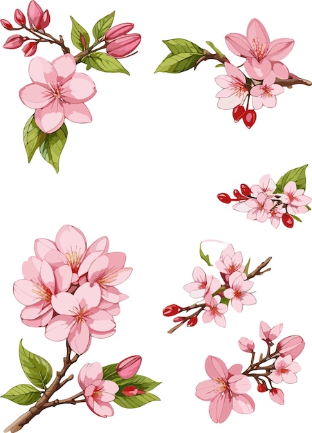 Watercolor illustration of cherry blossoms A set of components vector