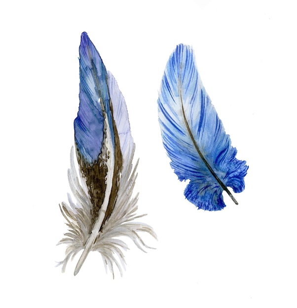 Watercolor illustration of colored decorative bird feather for decor and decoration of Easter