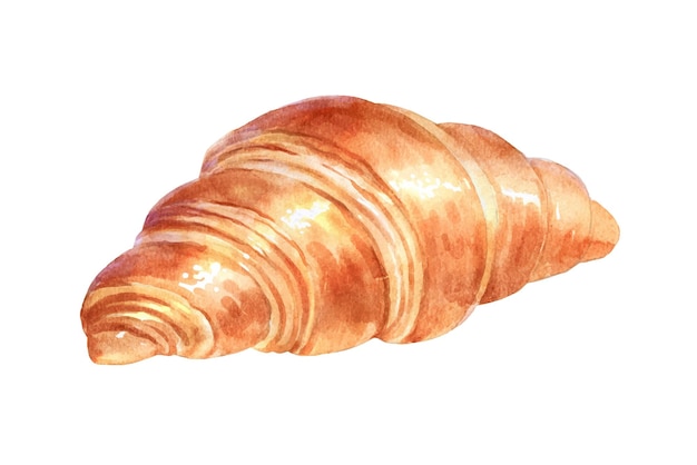 Vector watercolor illustration of croissant