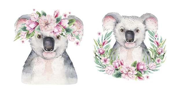 Watercolor illustration cute koala bear peeking out from behind the leaves of eucalyptus