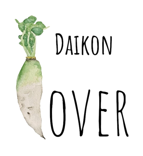 Watercolor illustration of daikon Fresh raw vegetables Daikon lover illustration