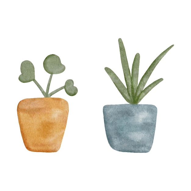 Vector watercolor illustration of flowers in a pot.