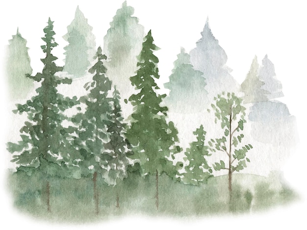 Watercolor illustration of foggy forest