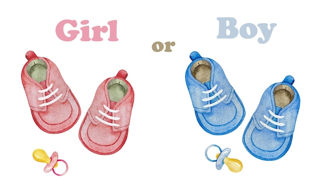 Watercolor Illustration for Gender Reveal party It's a Girl and It's a Boy Template for Baby shower