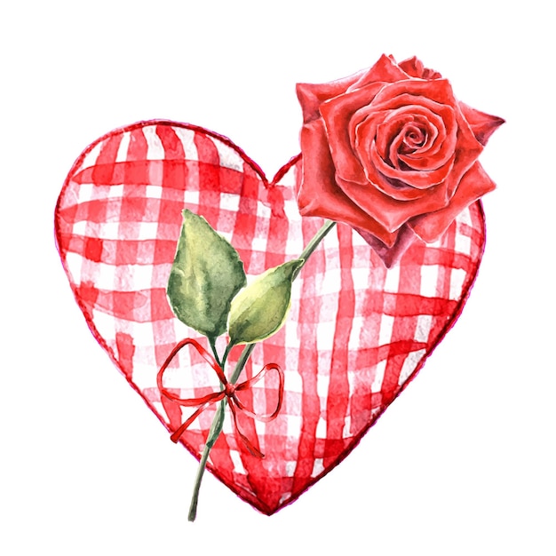 Vector watercolor illustration of heart shaped valentine with red rose isolated on white