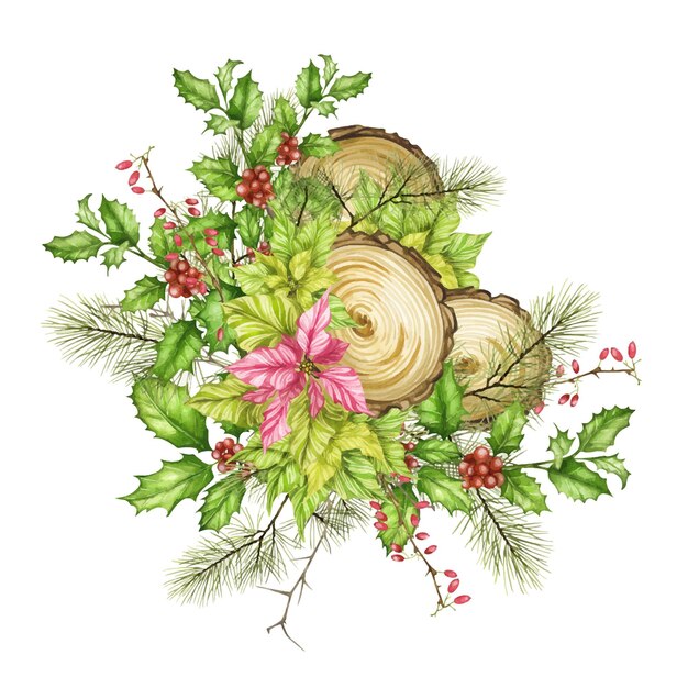 Illustrazione dell'acquerello composizione festiva natale e capodanno di maria poinsettia e agrifoglio