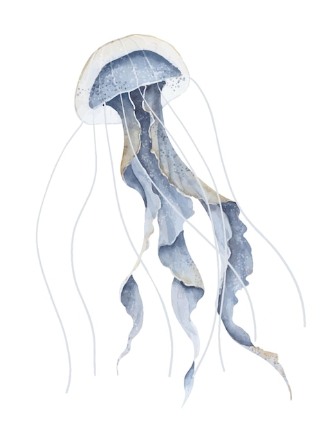 Watercolor illustration of Jelly Fish on isolated background Hand drawn sketch of Jellyfish in pastel blue colors Undersea Ocean animal Sketch of underwater Medusa for icon or logo Colorful paint