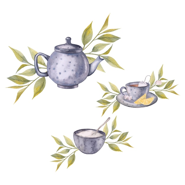 Watercolor illustration leaves and set tea for package design, cooking appliances.