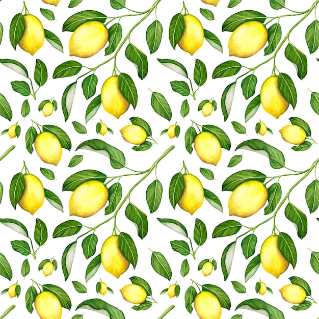 나뭇가지에 녹색 잎과 노란색 레몬이 있는 레몬 나무의 수채화.