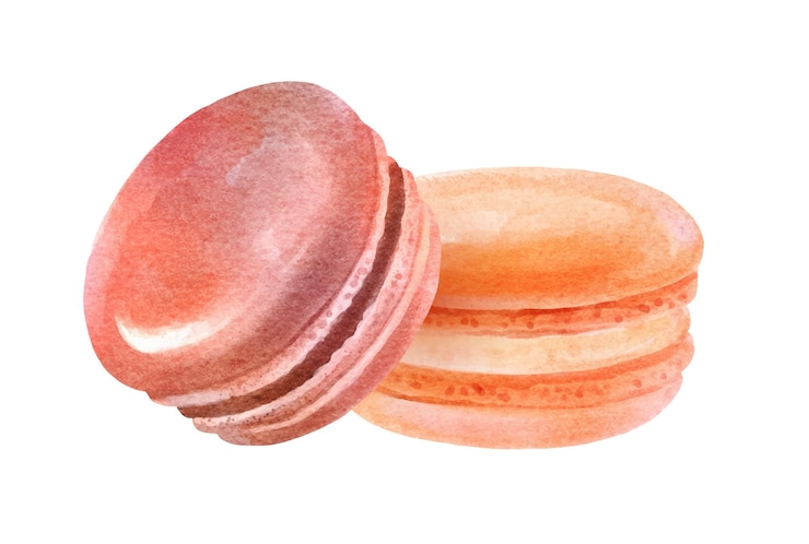 Vector watercolor illustration of macarons