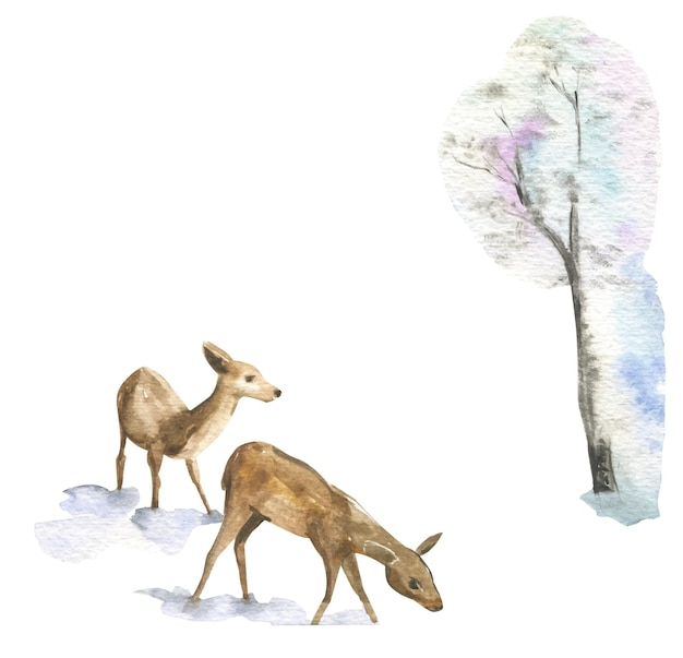 Акварельные иллюстрации оленей в зимнем лесу