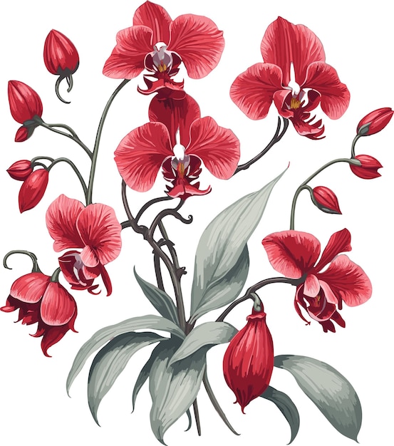 Vector watercolor illustration of orchid a set of components vector