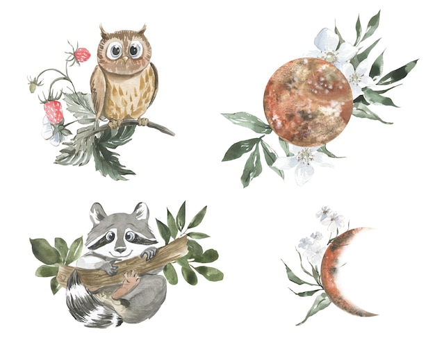 Watercolor illustration of owl raccoon with flowers and moon phases