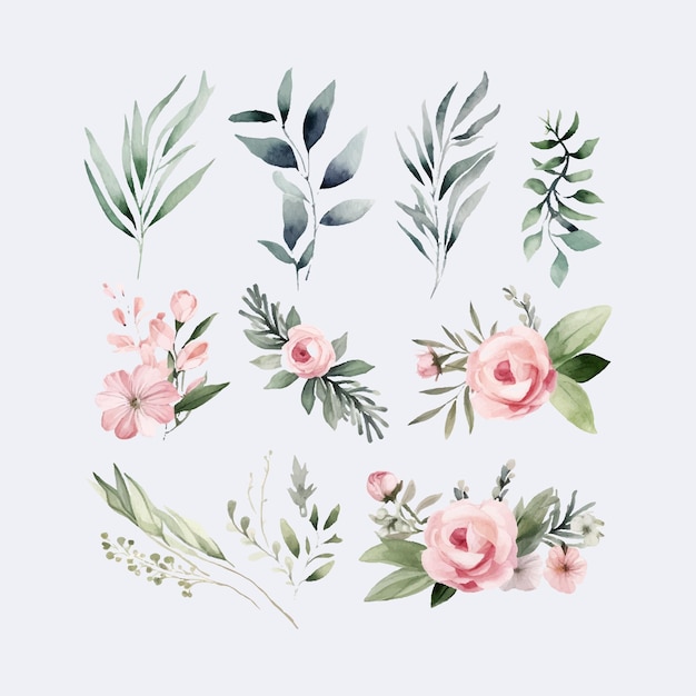 Watercolor illustration Painted composition of flowers
