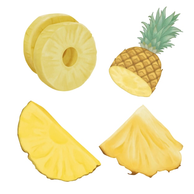 Watercolor illustration of a pineapple Exotic fruit clipart