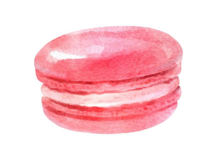 Vector watercolor illustration of pink macaron