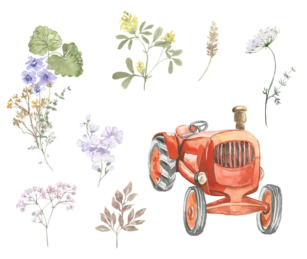 Vector watercolor illustration of red tractor with wild flowers set