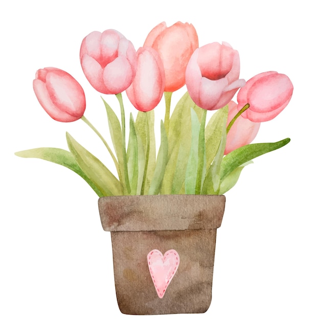 Vector watercolor illustration of red tulips in a pot is a vibrant display of artistry