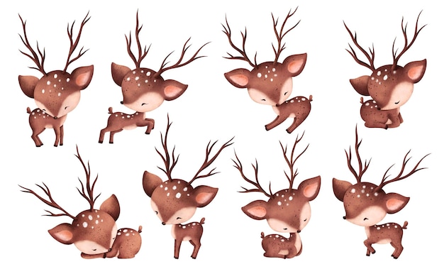 Vector watercolor illustration set of baby deers