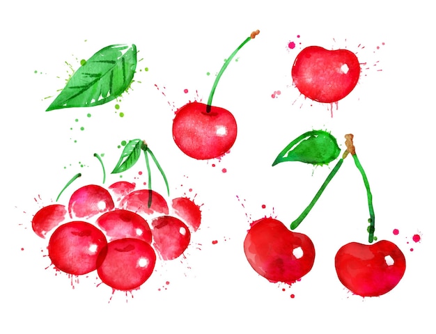 Watercolor illustration set of cherries