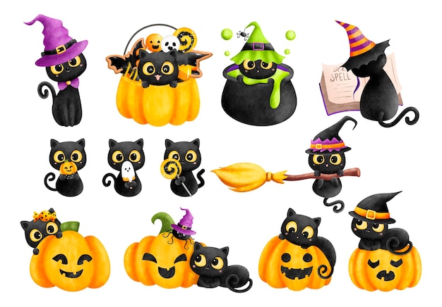 Watercolor Illustration set of Halloween back cat