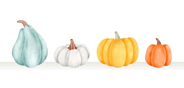 Vettore set di illustrazioni ad acquerello di zucca in diverse dimensioni e colori