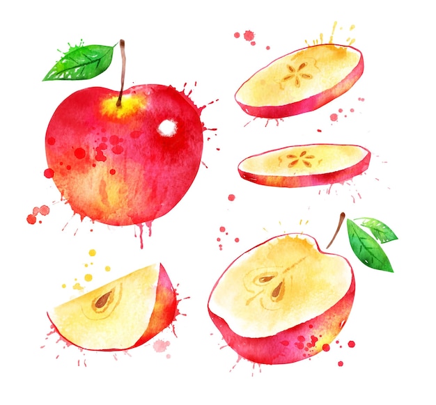 Watercolor illustration set of red  of apple