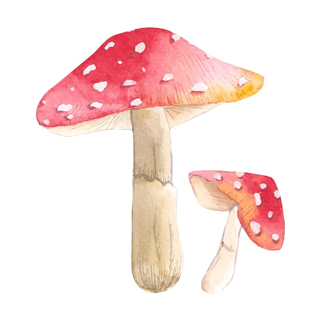 Акварельные иллюстрации набора красных грибов, нарисованных вручную акварельными красками