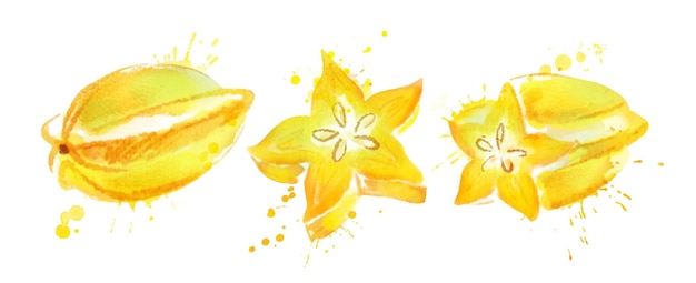 Vector watercolor illustration set of star fruit