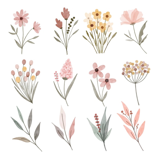 Watercolor Illustration set of vintage flowes and leaves