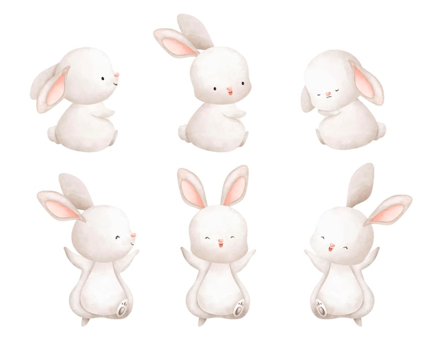 Watercolor illustration set of white rabbit