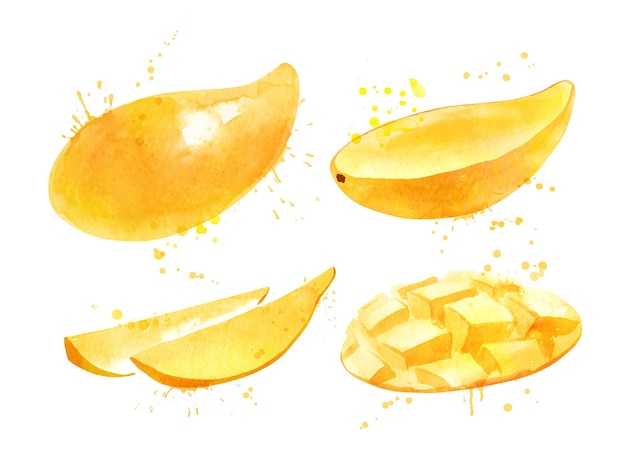 Watercolor illustration set of yellow mango fruit