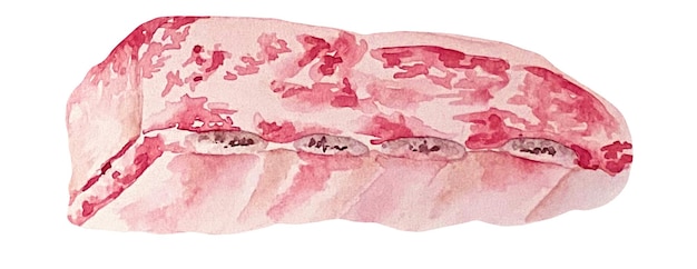 Vector watercolor illustration of a single piece raw meat spareribs