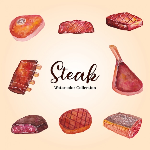 Watercolor Illustration of Steak collection