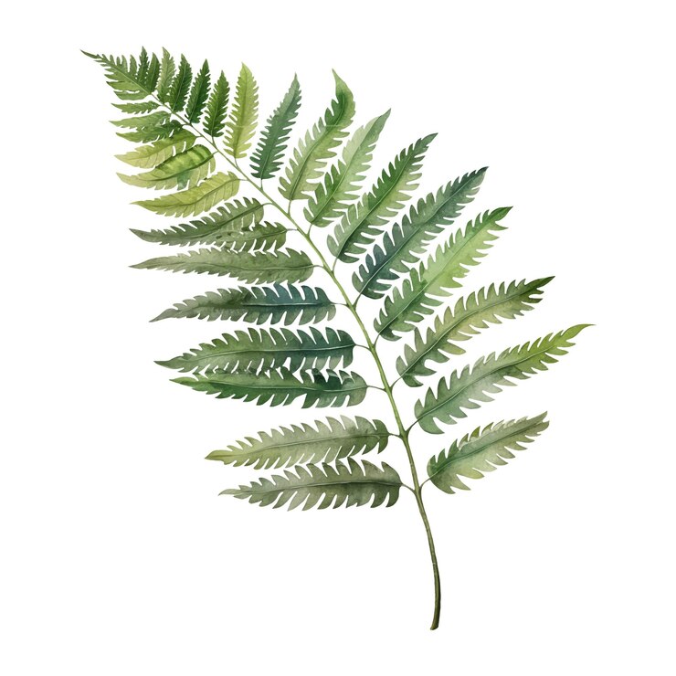Vector watercolor illustration of a tropical leaf ai illustration