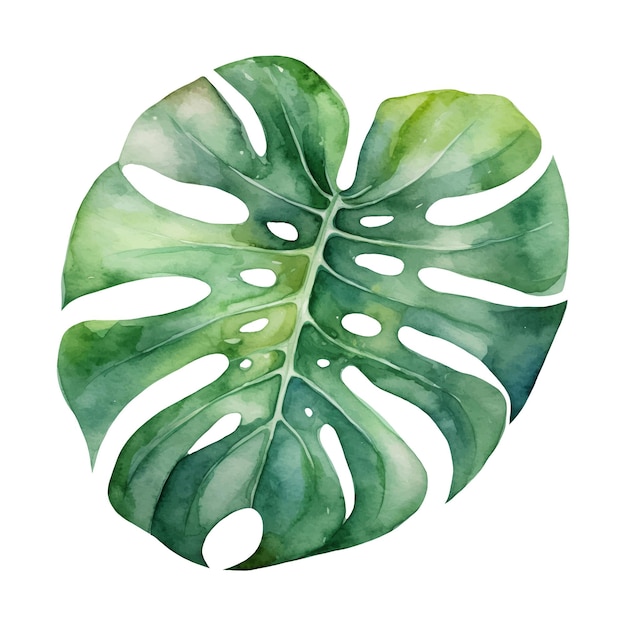 Vector watercolor illustration of a tropical leaf ai illustration