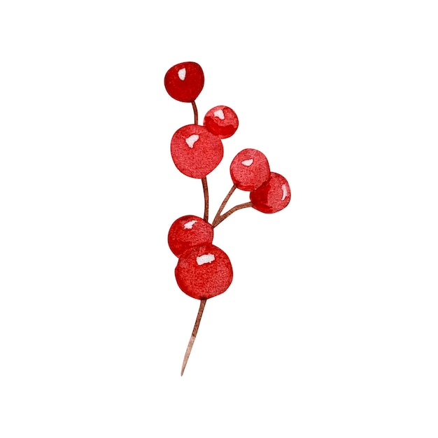 水彩イラスト、白い背景の上の赤いベリーと冬の枝