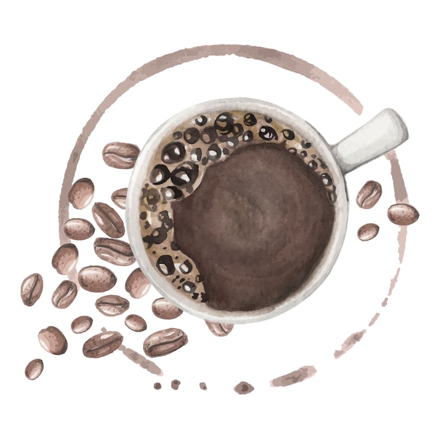 Vector watercolor illustration with coffee hand drawn