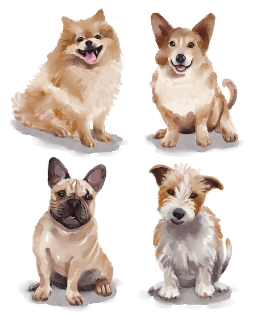 Illustrazione ad acquerello con diverse razze di cani - pomerania, corgi gallese, bulldog francese