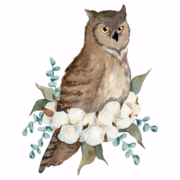 watercolor illustration with owl and cotton