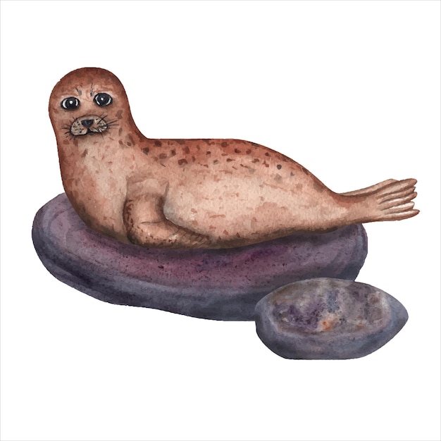 Watercolor illustration with seal Perfect for wallpaper print baby textile nursery scrapbooking