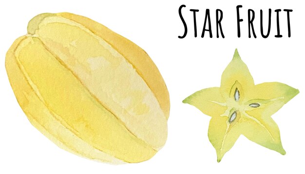 Watercolor illustration of yellow star fruit. Fresh exoticasian fruit. Asian food