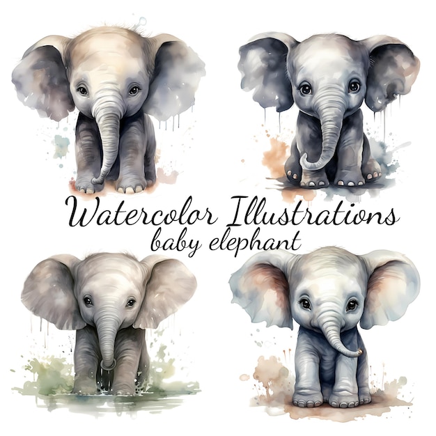 Vettore illustrazioni ad acquerello di adorabili piccoli elefanti
