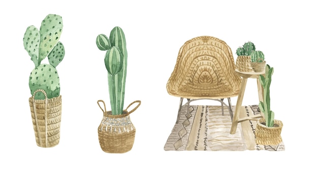 Watercolor illustrations of cacti in wicker baskets and a wicker chair